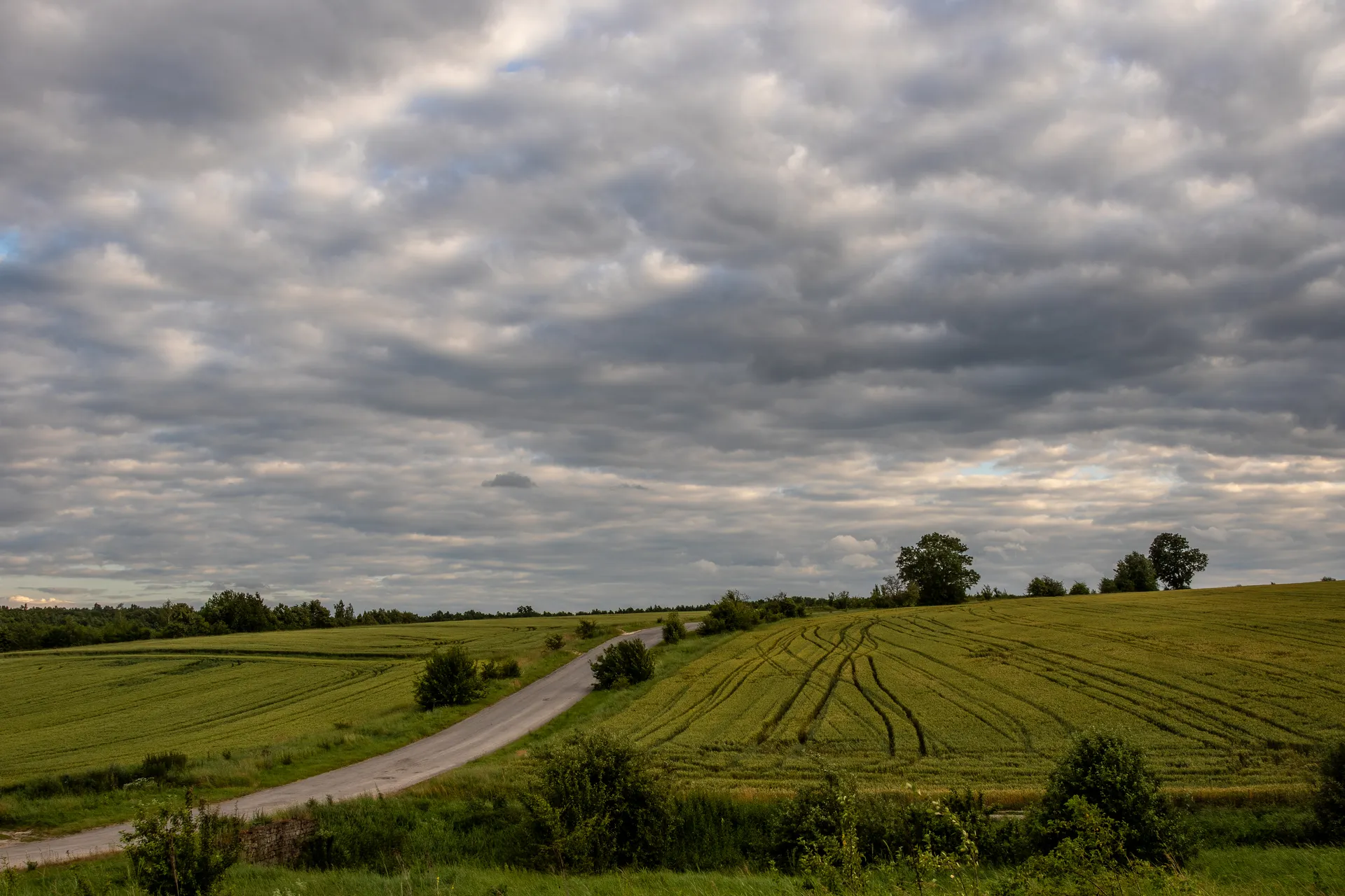 Oxfordshire countryside