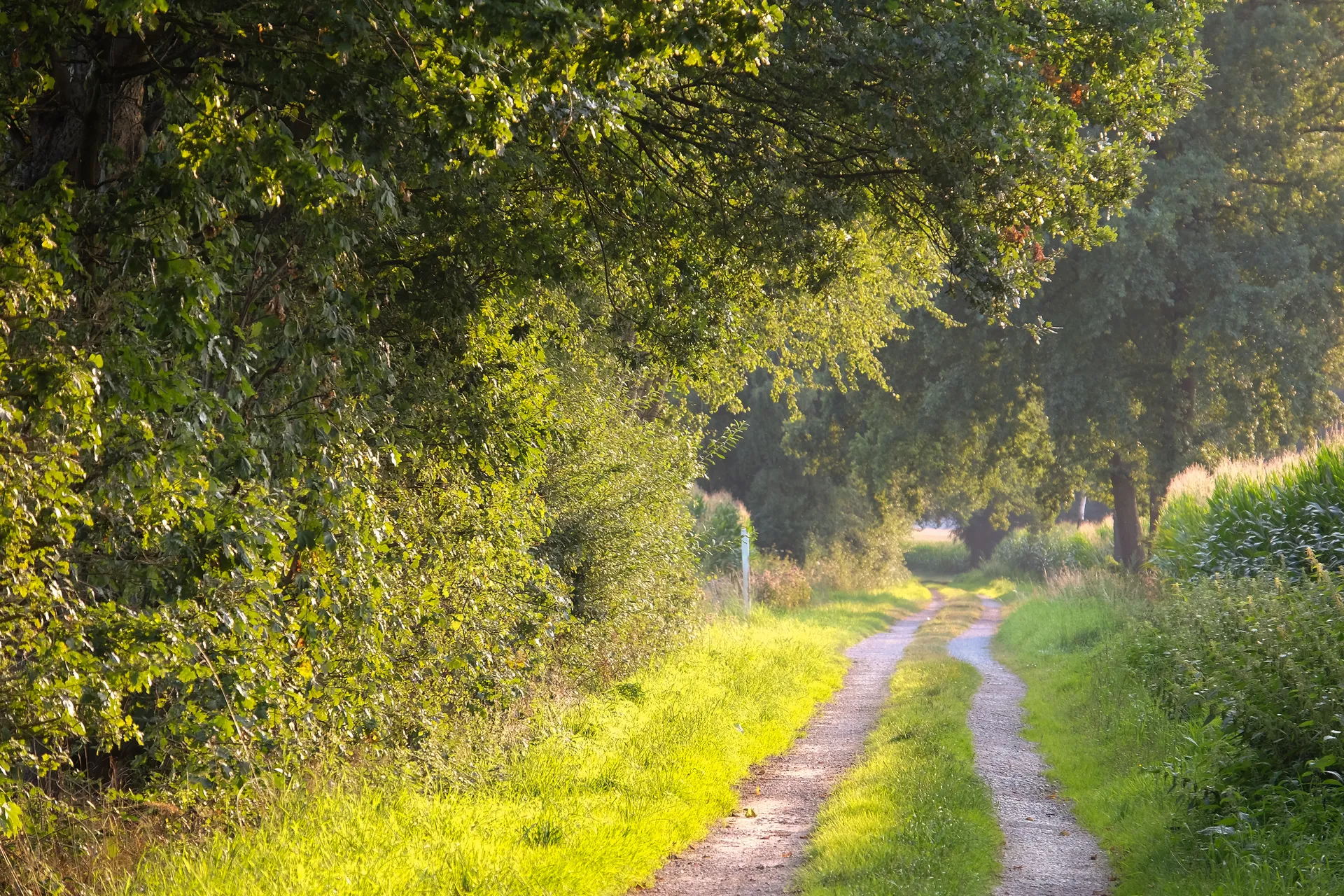 Parkland countryside walk
